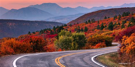 Top 5 Leaf-Peeping Drives | Autumn Drives | ColoradoInfo