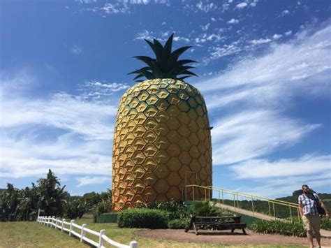 The Big Pineapple (Bathurst): UPDATED 2020 All You Need to Know Before You Go (with PHOTOS)