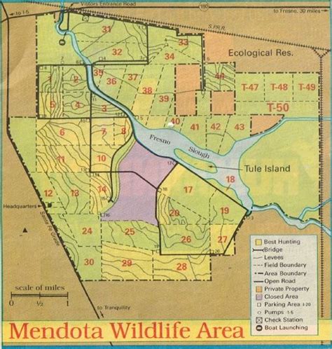 2017California Duck Hunting, Mendota Refuge, report, Duck Hunting Clubs ...