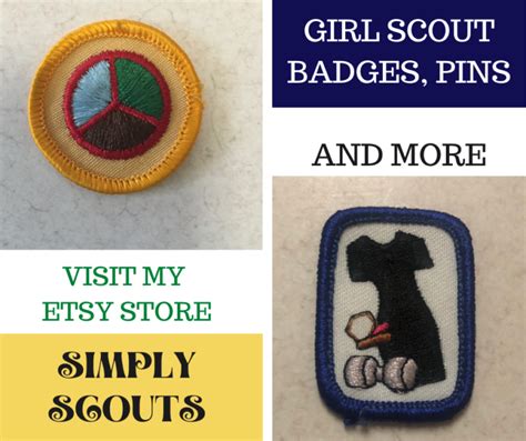 100 girl scout silver award ideas – Artofit