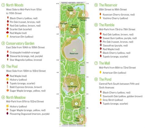 Central Park Map Printable