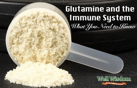 Glutamine Powder Benefits: What You Need to Know