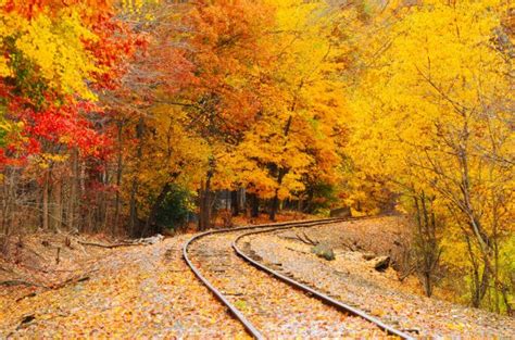 Fall Foliage Train Rides in the Northeast - Your AAA Network