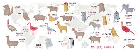 National Animals from Around the World by Oi Oilikki - They Draw & Travel