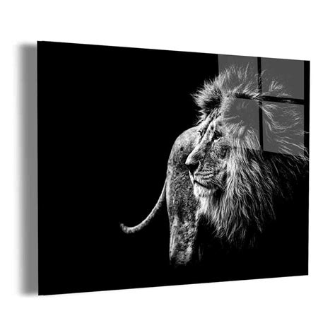 Black and White Lion Wall Art – Canvas Freaks