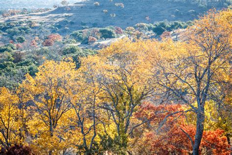 Hill Country Fall Color - Sean Fitzgerald Photography