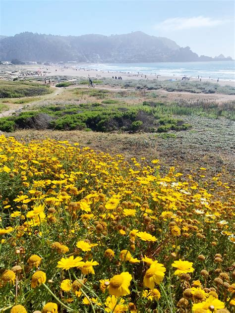 Hikes in Pacifica: Pacifica Hiking Trails With the Best Coastal Views