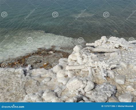 Salt on dead sea Jordan stock photo. Image of nature - 137571386