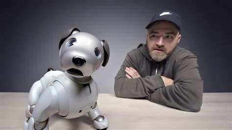 The $3000 Sony Aibo Robot Dog | Diy dog stuff, Dog gifs, Dog clothes diy