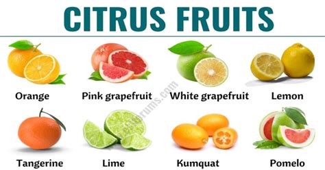 Citrus Fruits: List of 15+ Citrus Fruits with ESL Picture and Example Sentences - ESL Forums