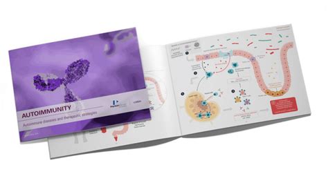 A guide giving valuable insights about autoimmunity