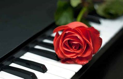 7 Soft and Relax Piano Music You Should Listen To - CMUSE