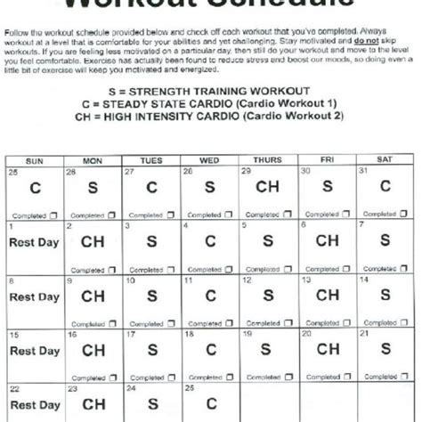 Exercise Schedule in the exercise group | Download Scientific Diagram