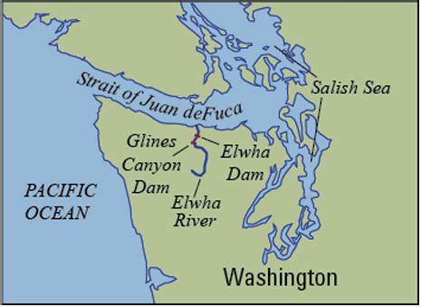 Sonar and the Elwha River – Restoration Applications of Sonar