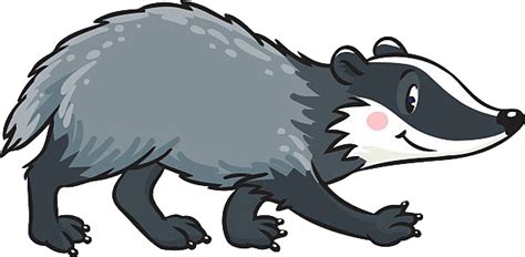 Badger Stock Illustration - Download Image Now - Badger, Cartoon - Clip ...