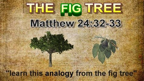 The Fig Tree Analogy --- Matthew 24:32-33 | Analogy, Matthew 24, Fig tree