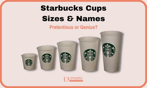 Starbucks Cup Sizes And Prices