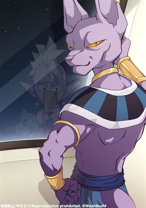 Lord Beerus | Beerus, Lord beerus, Anime