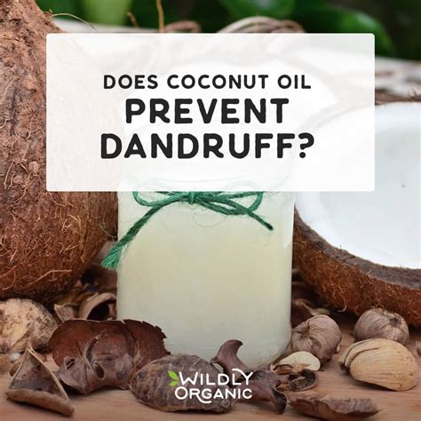 How to Use Coconut Oil for Dandruff | Wildly Organic