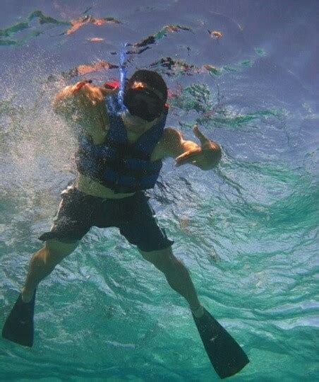 costa-maya-snorkeling-tour (4) - Tequila Beach Tours