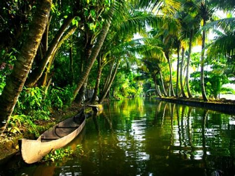 Kerala Backwaters in Summer Why Visit These Network of Lagoons And Lakes During Scorching Heat