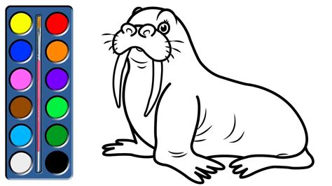 Walrus Coloring Pages - Coloring Nation