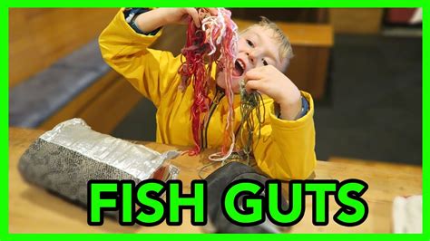 Fish Guts - YouTube