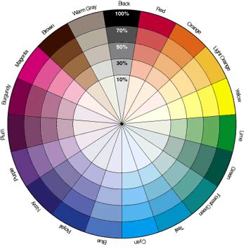 Makeup Color Wheel For Brown Eyes