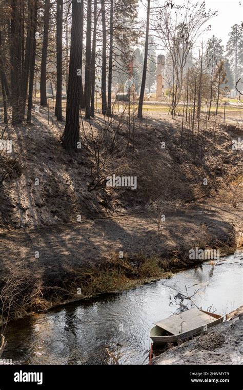 Fire damage from Oregon wildfire Stock Photo - Alamy