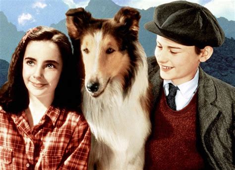 Film Review: Lassie Come Home