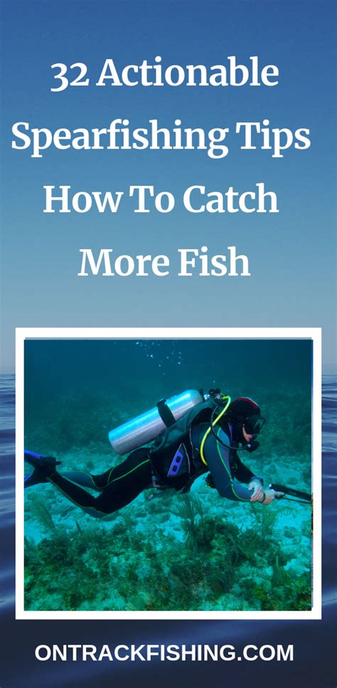 32 Actionable Spearfishing Tips (How to catch More fish) | Spearfishing, Spearfishing gear ...