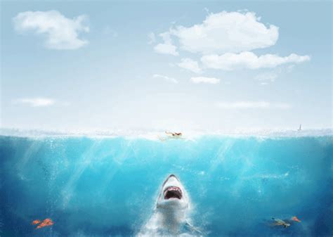 Shark Attack Wallpaper - WallpaperSafari