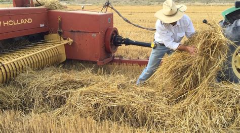 Baling Straw Used for Construction - The Last Straw