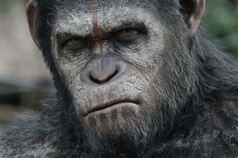 How to watch Planet of the Apes movies in order | chronological timeline | Radio Times