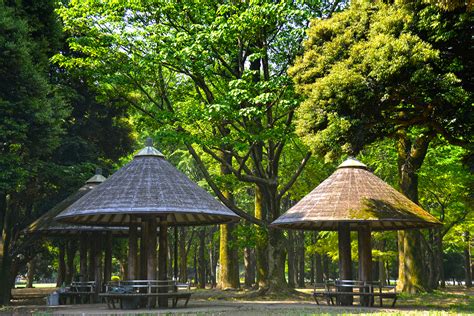 5 Best Parks and Gardens to Visit in Tokyo | KCP International