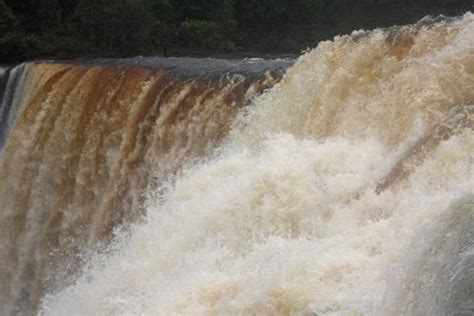 Picture of Kaieteur Falls, rainbow and Potaro valley | Kaieteur | Guyana