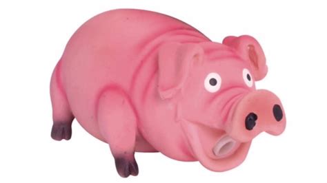 Pink Pig Squeaky Dog Toy | Wow Blog