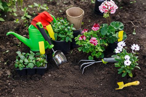 Gardening Tips To Help You Have The Garden of Your Dreams