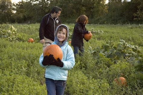 Bowers Farm Offers Hands-On Fun | Bloomfield, MI Patch