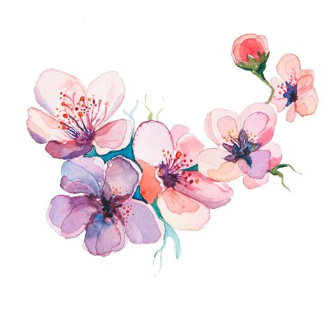 Pin by That'sAllPrintArt on Watercolor, graphic,modeling | Flower drawing, Flower art ...