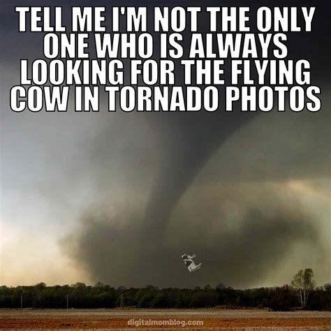 Tornado Meme