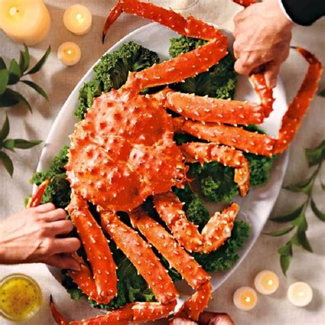 Cận cảnh con cua hoàng đế kingcrab khổng lồ - Chia Sẻ Kiến Thức Điện Máy Việt Nam