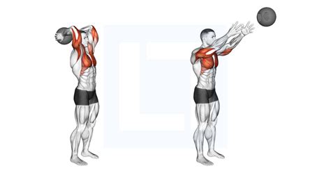 Medicine Ball Standing Overhead Throw - Guide, Benefits, and Form