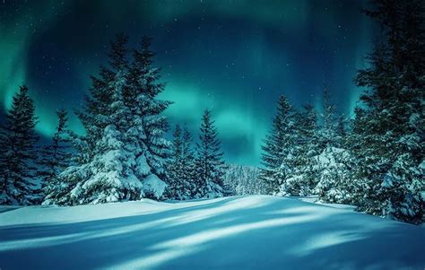 ALASKA & THE NORTHERN LIGHTS | Solo Travel For Women | Sisterhood ...