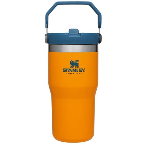 Stanley The IceFlow Flip Straw 20 oz. Tumbler – Campmor