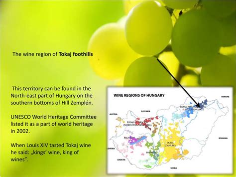 PPT - wine regions of Hungary PowerPoint Presentation, free download ...