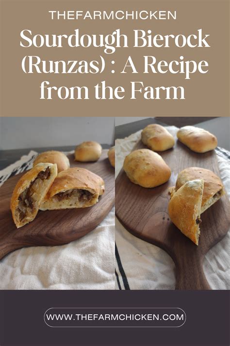 Sourdough Bierocks (Runzas): A Recipe from the Farm | Recipe in 2024 ...