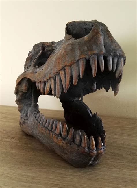 A Large T-rex skull - Wall mounted - Dinosaur head