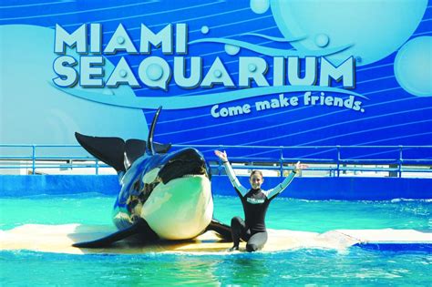 Eintrittskarte zum Miami Seaquarium! | CANUSA