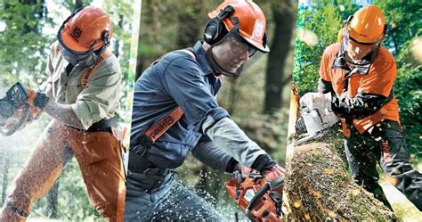 Everything About Tree Felling: Tools, Safety and Techniques